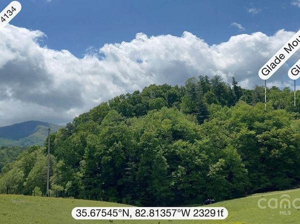 411 Big Sandy Mush Rd, Leicester, NC 28748