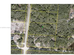 0 Biltmore Ave, Webster, FL 33597