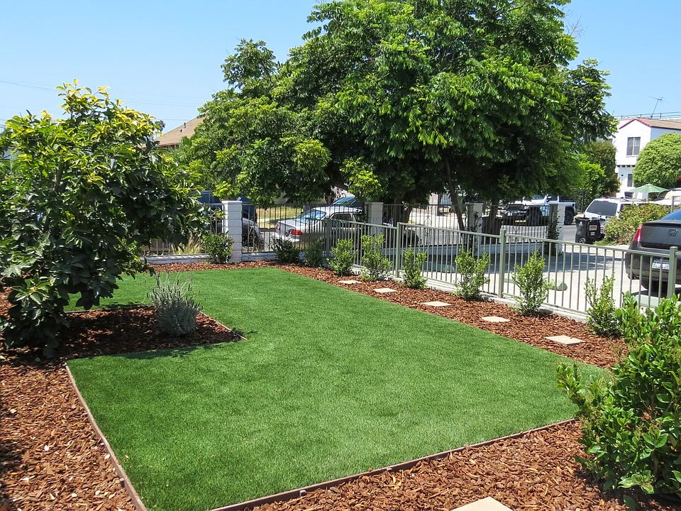 Front yard