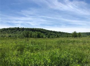 10290 Wilder Rd, Gowanda, NY 14070