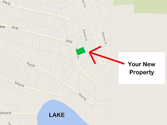 Near Lake and Forest