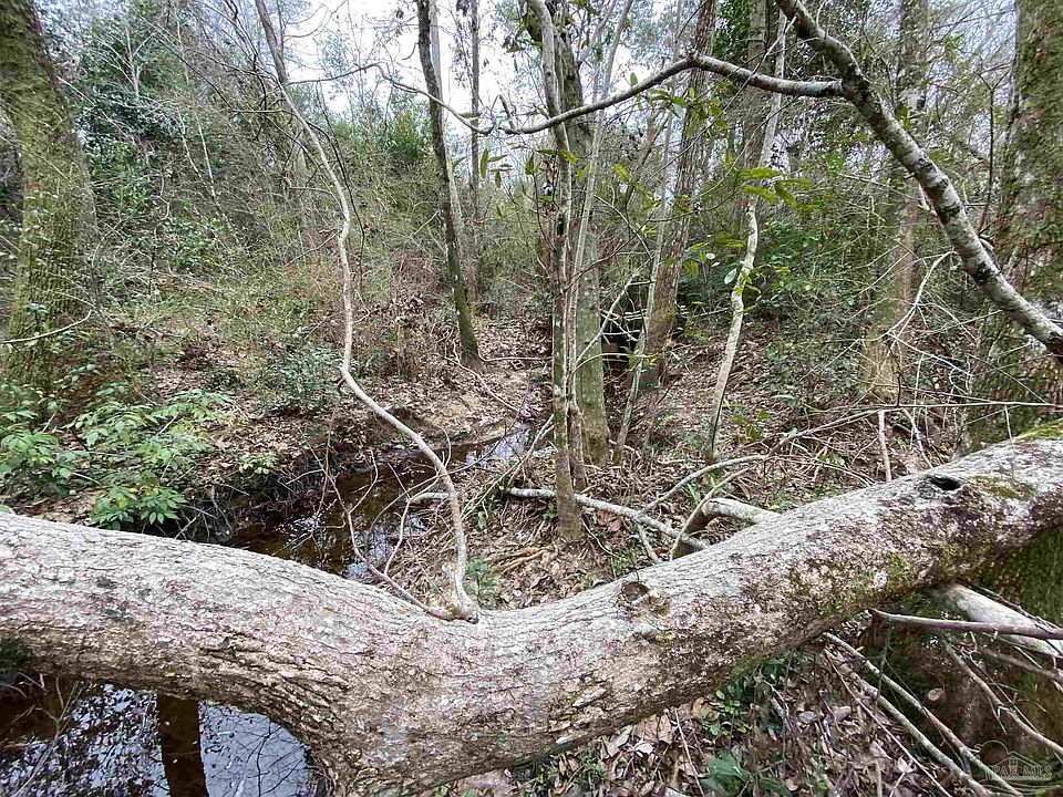 2nd image of Johnson Rd