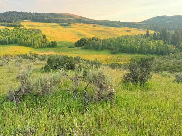 Hoot Owl Rd, Inkom, ID 83245