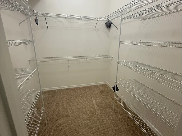 Master Walk in closet