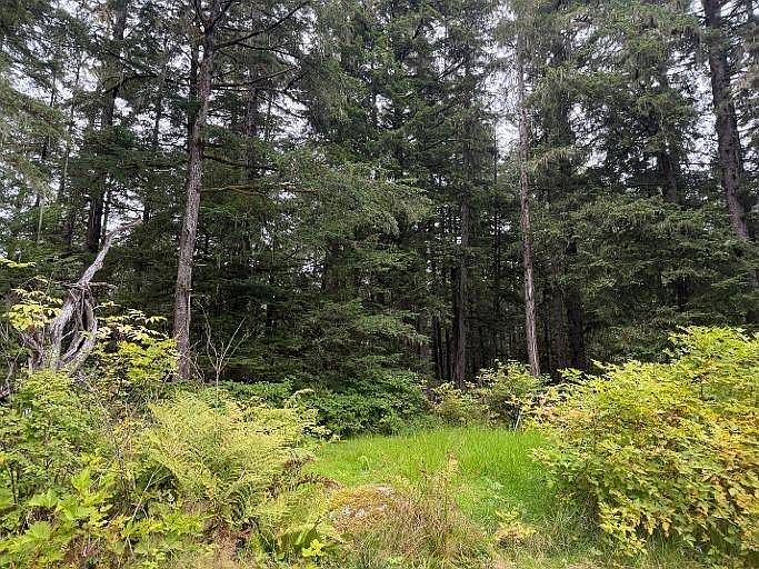 2nd image of 4B-1 Evergreen Ave