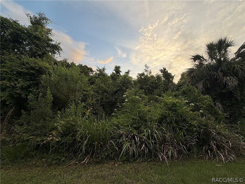 1st image of 1062 N Fan Palm Point