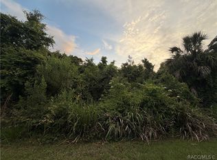 1062 N Fan Palm Point, Crystal River, FL 34429