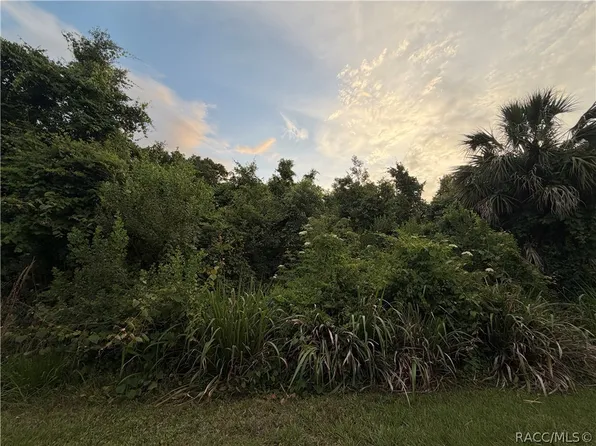 1062 N Fan Palm Point, Crystal River, FL 34429
