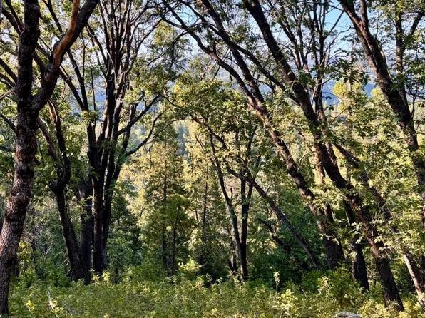 Forest Meadows Rd, Murphys, CA 95247