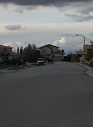5th image of 1283 Shenandoah Dr