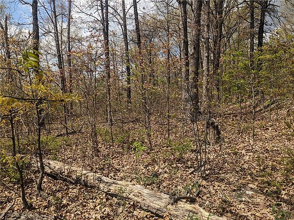 5th image of Dover Dr #35