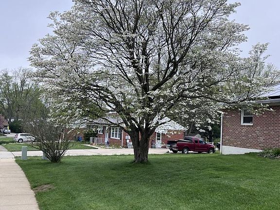 3rd image of 405 Harrington Rd