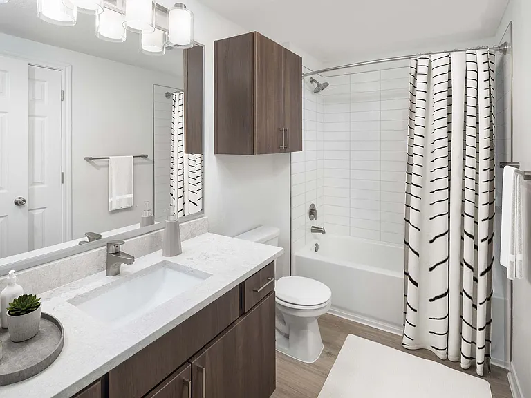 Camden Vanderbilt — Photo 15