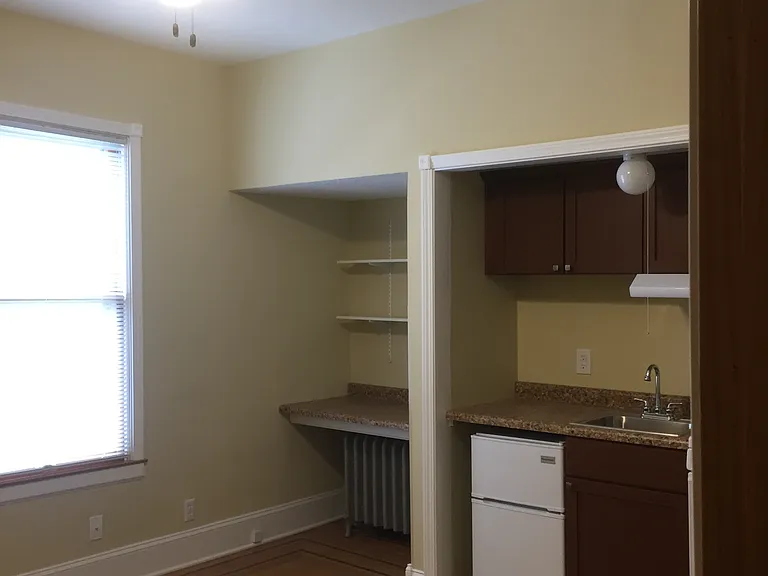 Showing Ceiling Fan