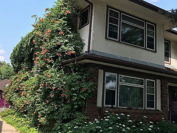 gorgeous trumpet vines
