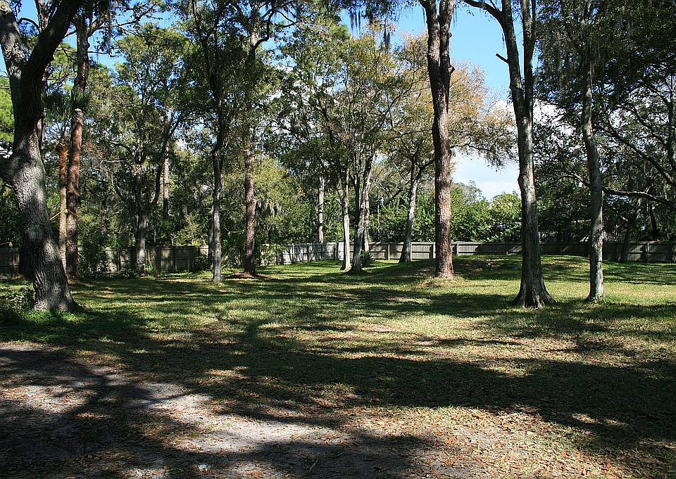 Back yard