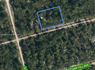 3047 Hollow Oak Ave, Lake Placid, FL 33852
