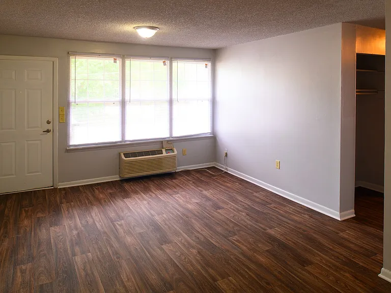 901 Colleton St — Photo 27
