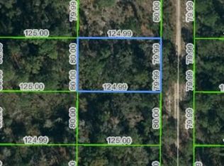6621 Balsam Pl, Sebring, FL 33875