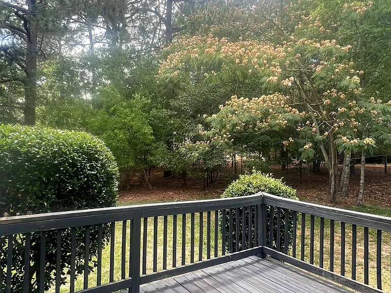 529 Carolina Way — Photo 31