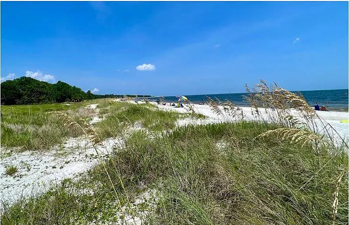 Carrabelle beach