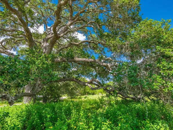 0 County Road 146, Hallettsville, TX 77964