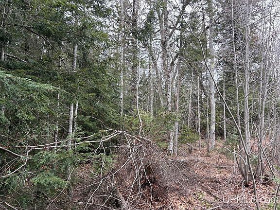 2nd image of Two Track Rd