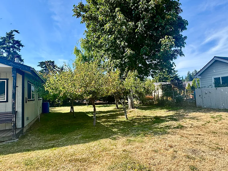 Fruit Trees (Peaches, Apples and Pears)
