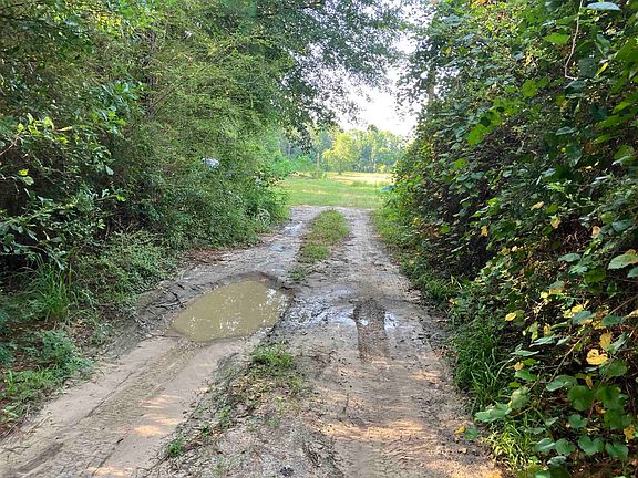 4th image of 12286 Gantt Red Level Rd