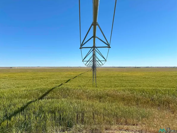 1545 County Rd E, Texico, NM 88135