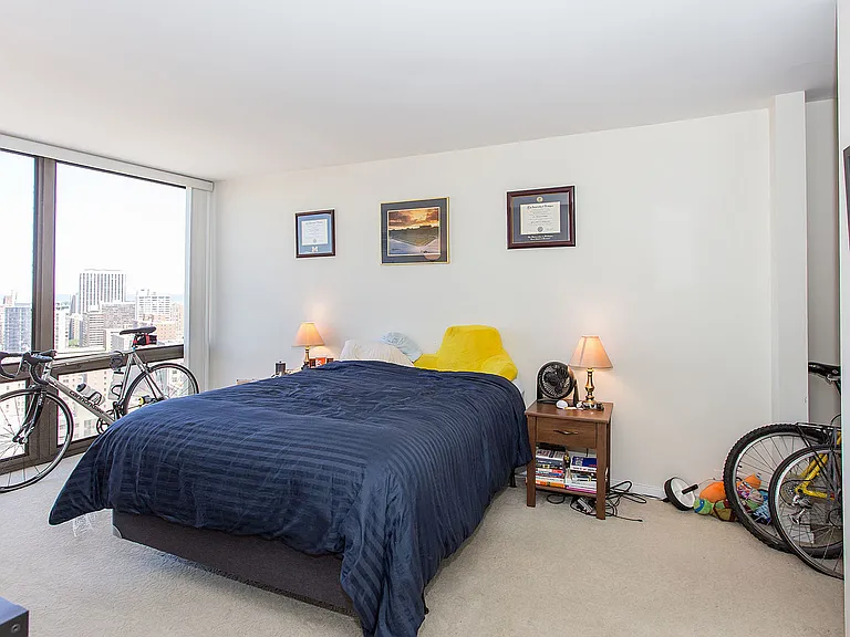 2650 N Lakeview Ave #2801 — Photo 10
