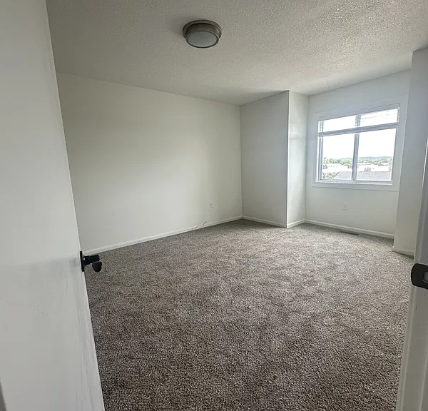 3410 Augusta Dr — Photo 7