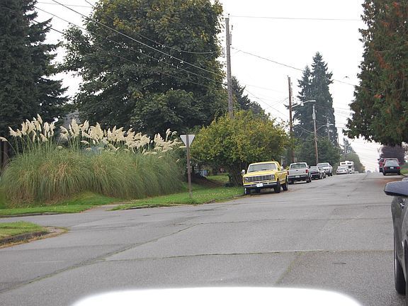 StreetView