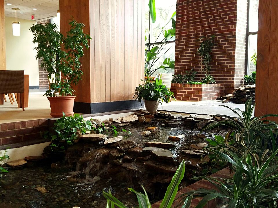 "THE POND"