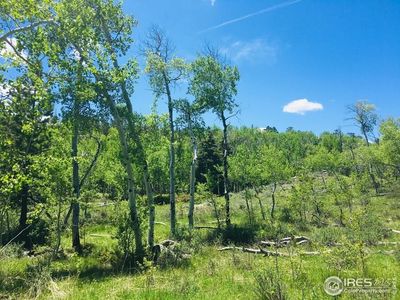 532 Tiny Bob Rd, Red Feather Lakes, CO, 80545