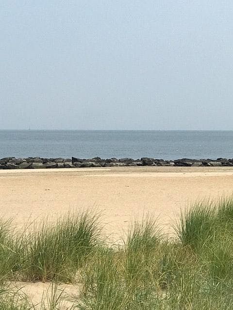 1st image of 1268 Ocean View Ave #D