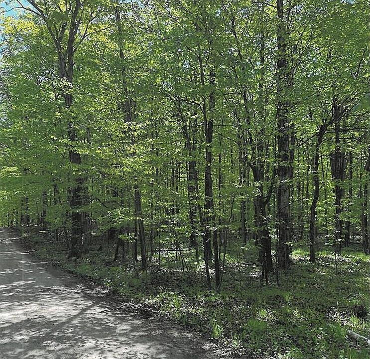 2nd image of LOT 1 S Highland Rd