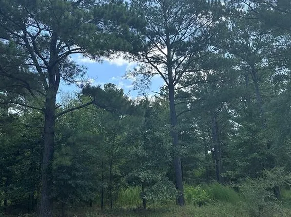 838 Pine Hills Rd #1, Broken Bow, OK 74728