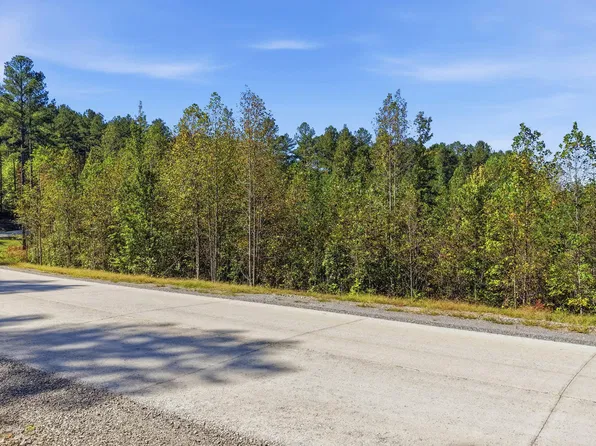 0 Birds Eye Way Lot 1065, Guild, TN 37340