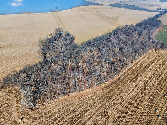 3rd image of 19.85 Acres Riles Road