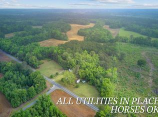 1050 Mount Zion Rd, Saint George, SC 29477