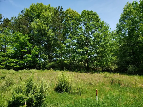 PARCEL 3 N Lasalle Rd, Scottville, MI 49454