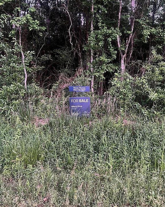 1st image of Chapman Dr