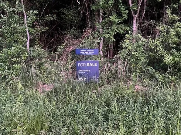 Chapman Dr, Abita Springs, LA 70420