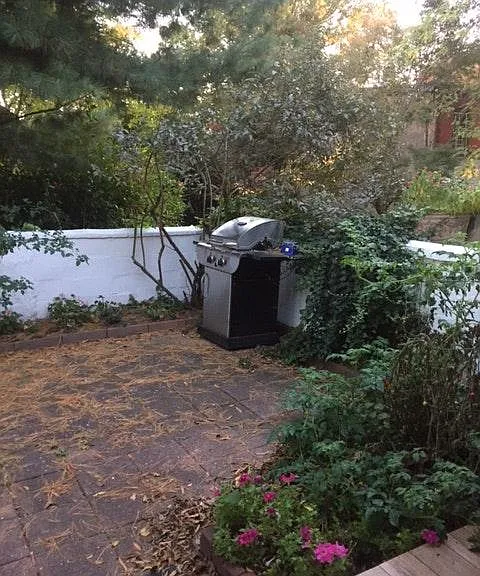 back yard