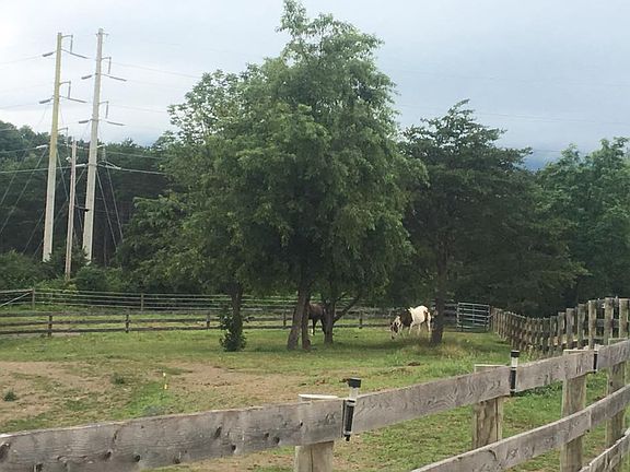 horse pasture