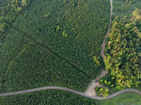 Carroll Rd, Pt Gibson, MS 39150