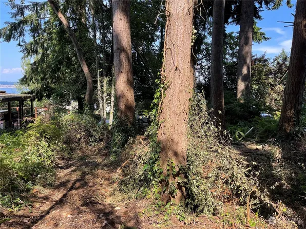 0 Morning Glory Lane, Langley, WA 98260