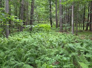 Pool Lake Rd NE, Bemidji, MN 56601