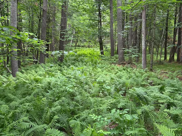 Pool Lake Rd NE, Bemidji, MN 56601